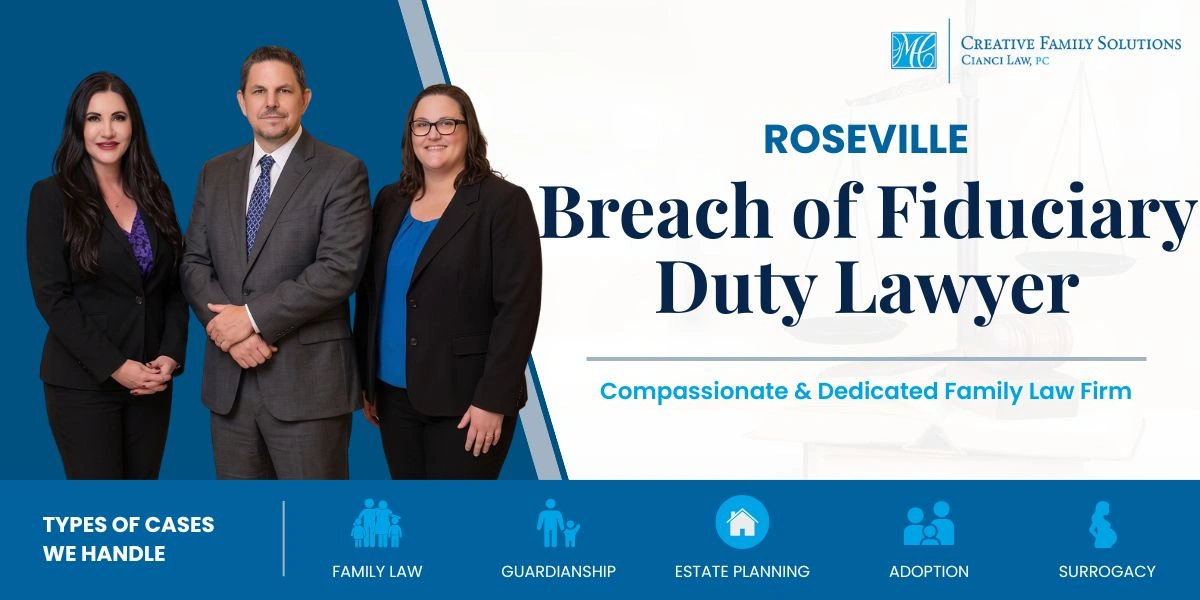 Highly Rated Roseville Breach Of Fiduciary Duty Lawyer Roseville Breach Of Fiduciary Duty Lawyer