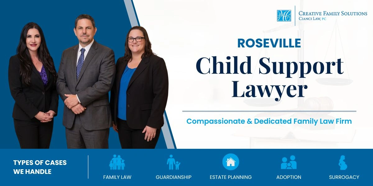 Experienced Roseville Child Support Lawyer Roseville Child Support Lawyer