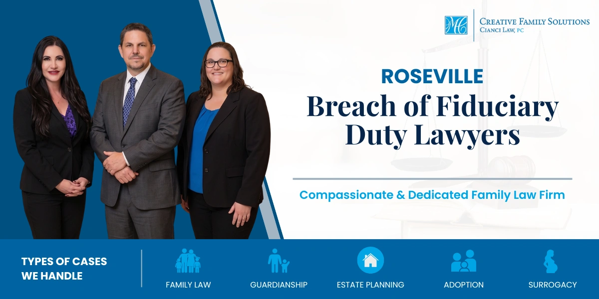 Highly Rated Roseville Breach Of Fiduciary Duty Lawyers Roseville Breach Of Fiduciary Duty Lawyer
